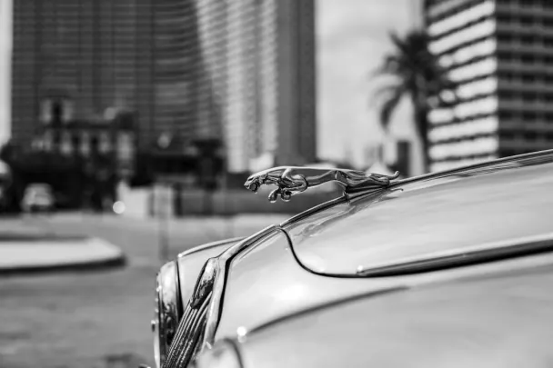 Casino Golden Reels Android/iOS Forrit